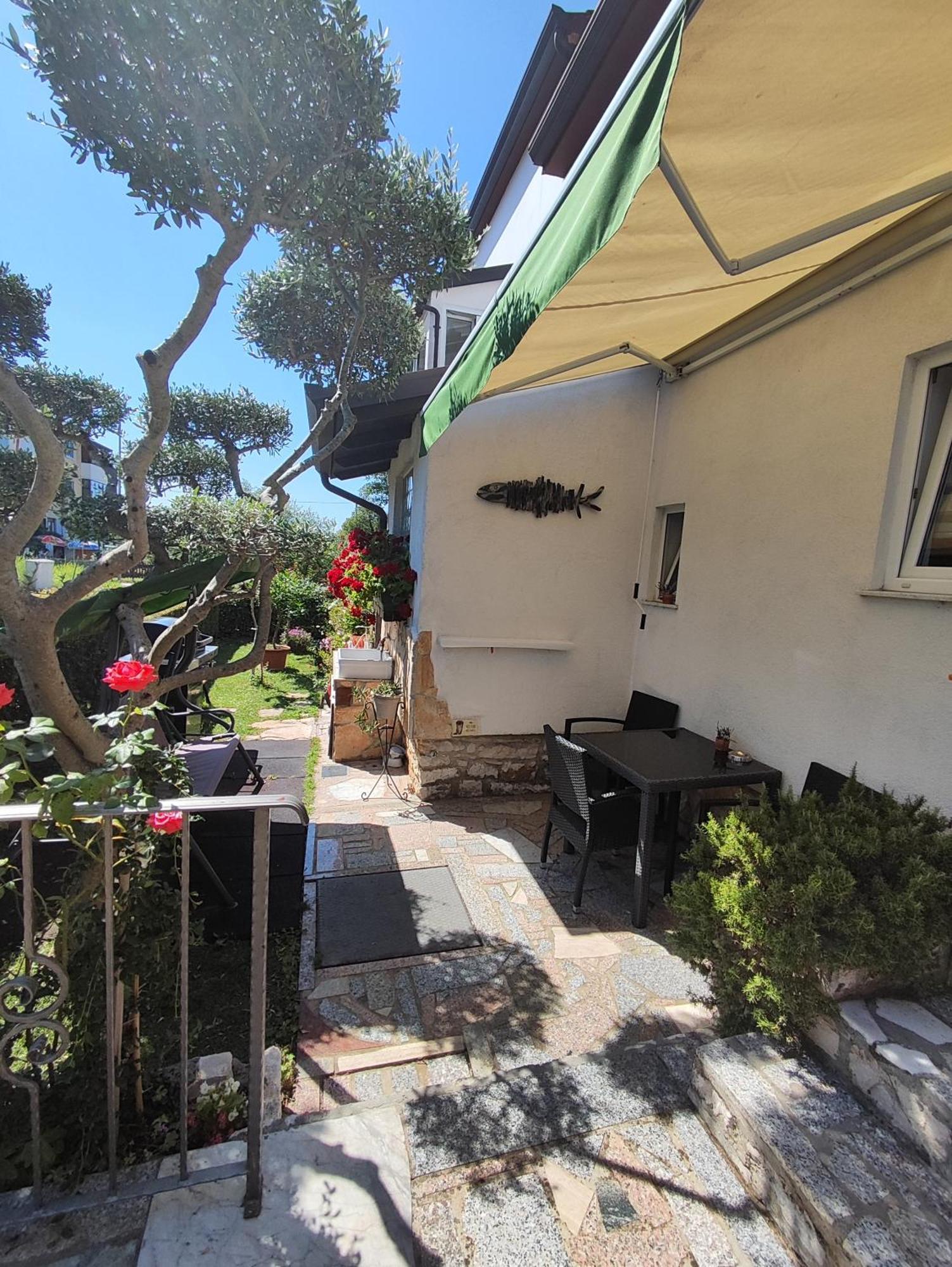 Susy Apartment Umag Bagian luar foto