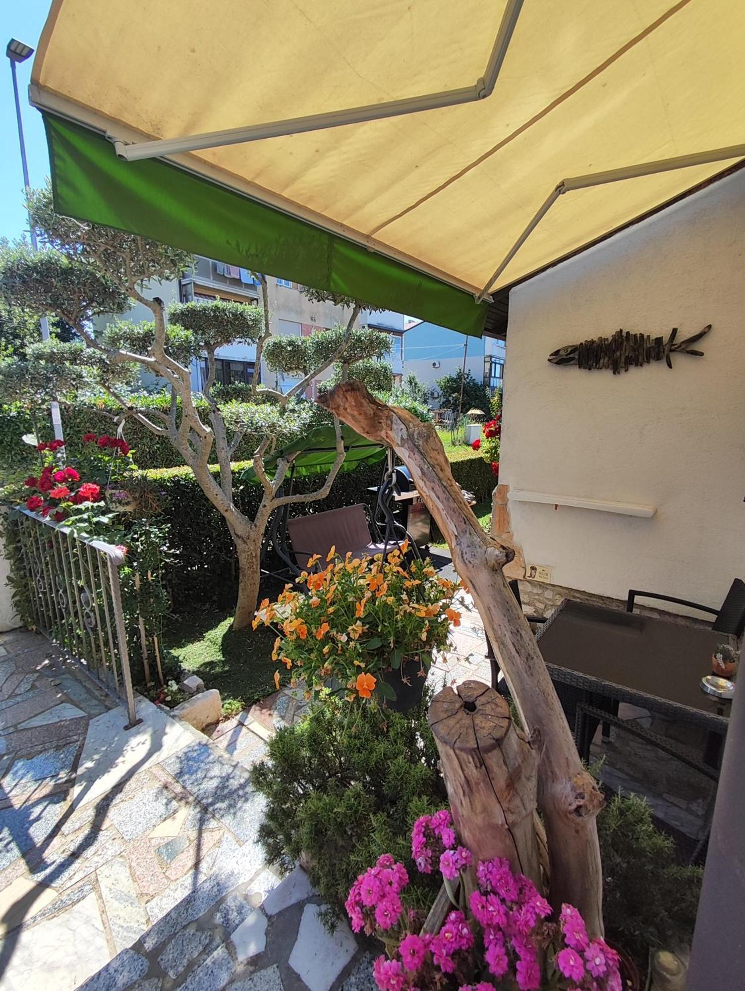 Susy Apartment Umag Bagian luar foto