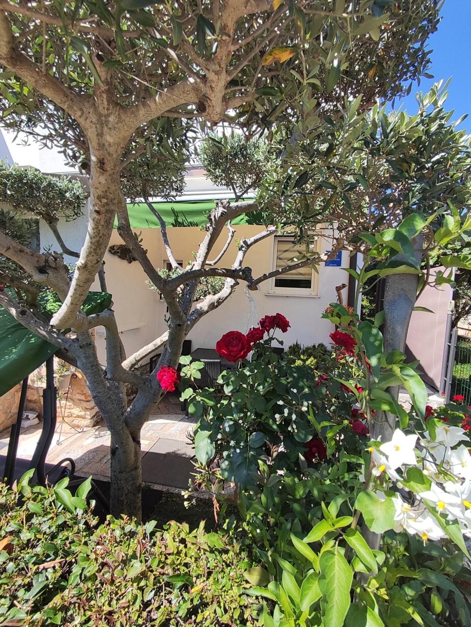 Susy Apartment Umag Bagian luar foto