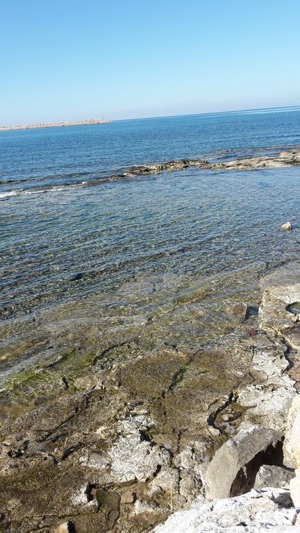 Susy Apartment Umag Bagian luar foto