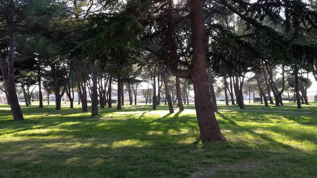 Susy Apartment Umag Bagian luar foto